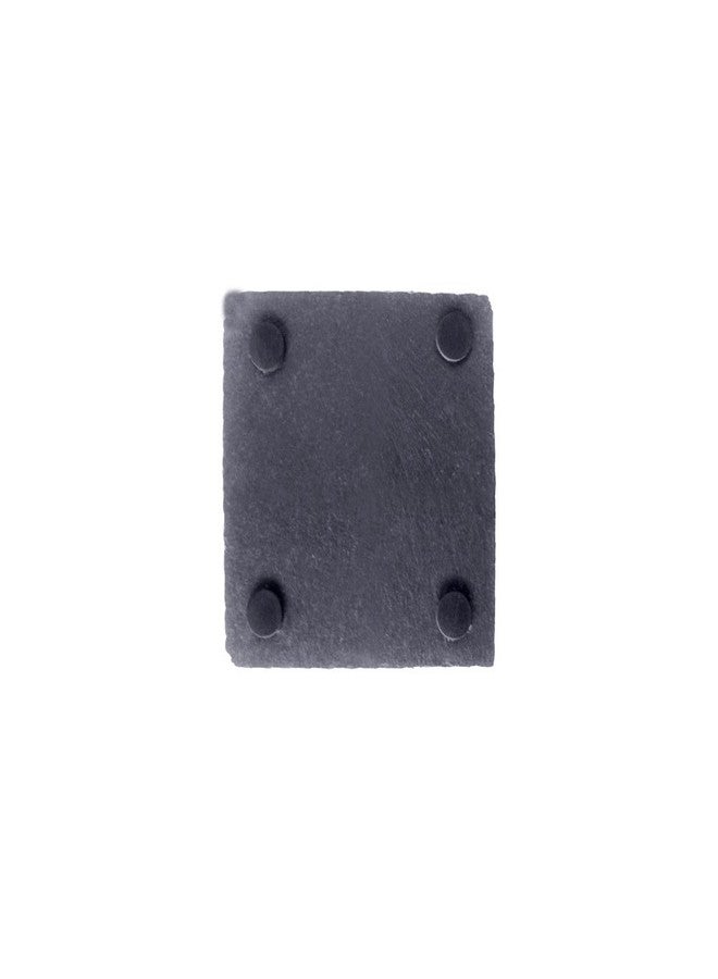 OMEM Turtle Reptile Rock Food Plate Grinding The Nail (S) - Image 2